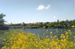 Город над Бугом