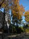 bv_Nic26562.jpg