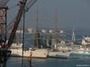 bh_Nic26319.jpg