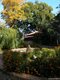bv_Nic26568.jpg