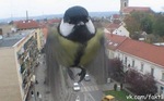 Эты Птычка нашептала Танюхе про Эм )))