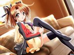 1206336393h0stklp144266vm6.jpg