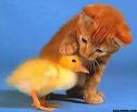 Aren't they so cute together???