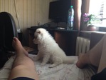 гость ! 
