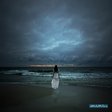 1221082809_017_mich