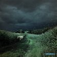 1221082697_002_mich