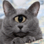 catanimations7_20080630_1328949991