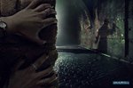 1216897526_photosh6