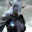 elfworld13_20070813_1984560178