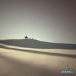 1221082801_014_mich