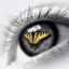 eye42_20070622_1649332880