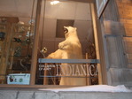 DSCF0981