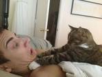 Кот ооочень нуждается в еде