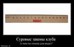 13072781475422_17cm_wooden_ruler
