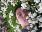 Цветут цветы