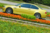bmw_alcom5.jpg