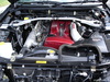 DSC07946.jpg