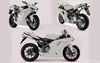 848%252520White.jpg
