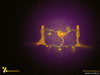 Love__004086_.jpg