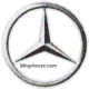 1car_logo_3.gif