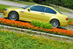 bmw_alcom5.jpg
