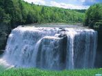 Nature_Other__004012_.jpg