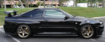 DSC07928.jpg