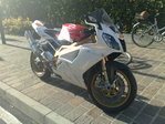 10082008208.jpg