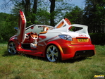 206cc_radical_cab_telechargement.jpg