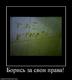 Борись за свои права