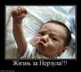 Жизнь за нерзула
