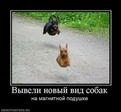 Летающие псы