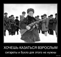 Взрослый