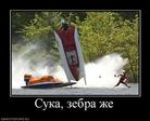 Нарушают пдд