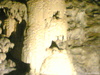 Data(034)