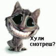 ))))))))))))