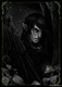 Night_bird_by_Dianae