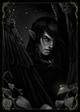 Night_bird_by_Dianae