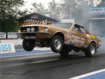Шелби GT 500