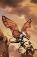 Rowena_Morrill_%2817%29.jpg