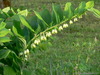 P1000717
