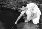 Там типо цвяточек в водичке...одуванчик...