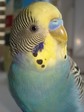 DSC05386