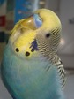 DSC05388