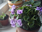 DSC00050