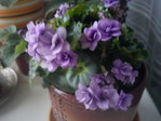 DSC00049
