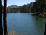 12156986_IMG_1988.jpg