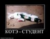 x_fb267b9e