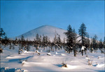 081(Kolyma)