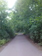 дорога